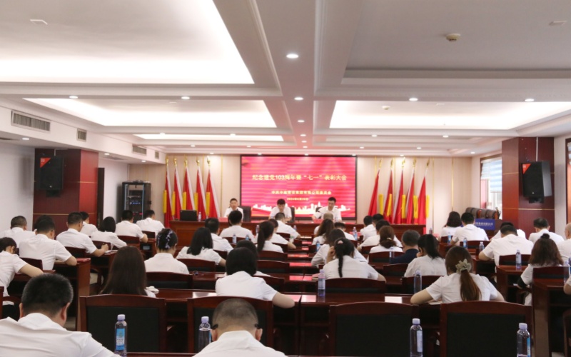 傳承紅色基因 凝聚奮進(jìn)力量—中南建設(shè)集團(tuán)“七一”表彰大會(huì)暨紅色教育活動(dòng)紀(jì)實(shí)