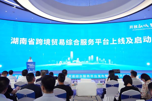 談文勝參加湖南省跨境貿易綜合服務平臺發(fā)布儀式并赴企業(yè)調研